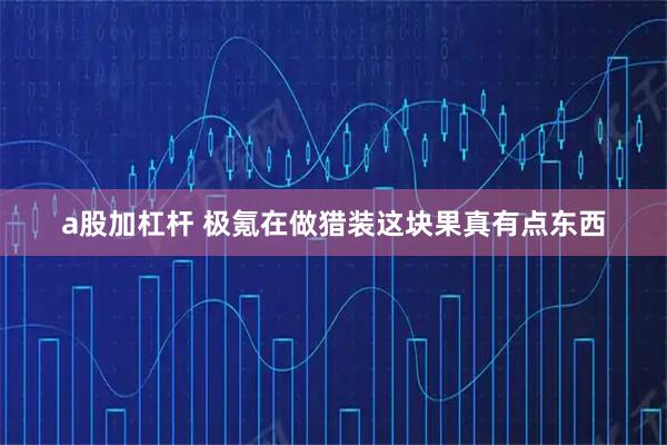 a股加杠杆 极氪在做猎装这块果真有点东西