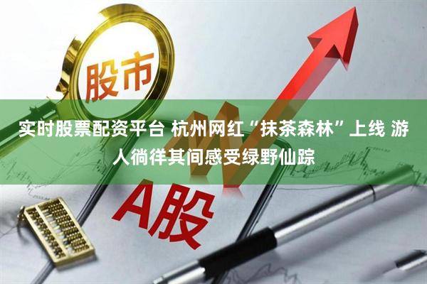 实时股票配资平台 杭州网红“抹茶森林”上线 游人徜徉其间感受绿野仙踪