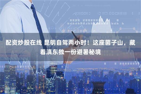 配资炒股在线 昆明自驾两小时！这座菌子山，藏着滇东独一份避暑秘境